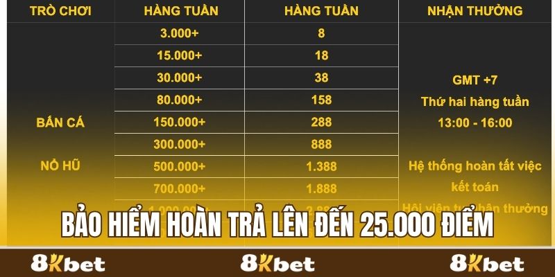 Bảo hiểm hoàn trả lên đến 25.000 điểm