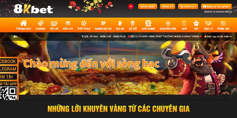 những lời khuyên vàng từ các chuyên gia